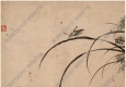 明 杜大成《花蝶草蟲圖冊(cè)頁(yè)》-9國(guó)畫高清大圖下載