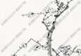 湯定之國(guó)畫 三君子圖 高清大圖下載