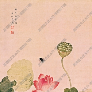 清 吳應貞《荷花圖》國畫高清大圖下載