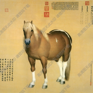 郎世寧_雪點雕_駿馬_國畫高清大圖下載