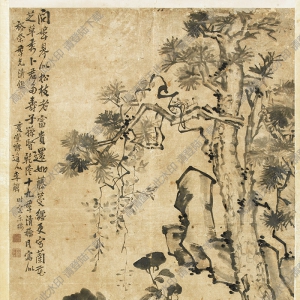 李鱔《松樹》國畫高清大圖下載