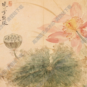 清 惲壽平《出水芙蓉》國(guó)畫(huà)高清大圖下載