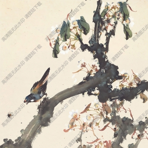 趙少昂作品 梨花小鳥 高清大圖下載