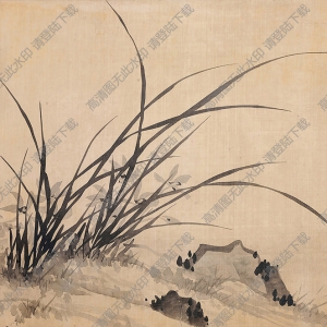 白蕉國(guó)畫(huà)作品 幽蘭3 高清下載
