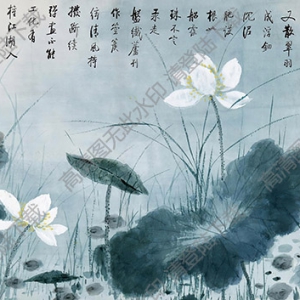 啟功國畫 白荷 高清大圖下載
