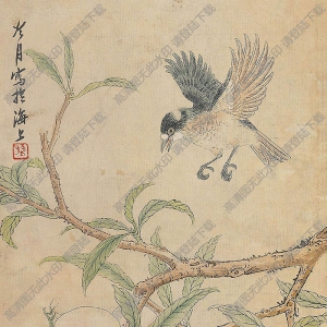 陶冷月國(guó)畫 花鳥之二 高清大圖下載