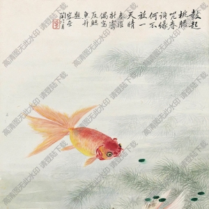 陶冷月國(guó)畫 金魚 高清大圖下載