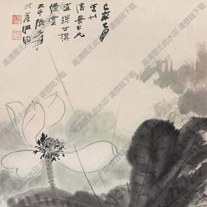 張大千作品_荷花_己亥七月寫此_時客紐約_高清大圖下載
