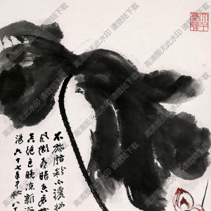 張大千作品_荷花_江妃出浴_八十歲時作_高清大圖下載