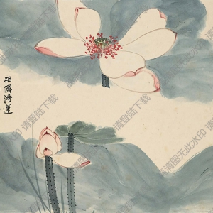 張大千作品_荷花_相憐得蓮_相偶得藕_高清大圖下載