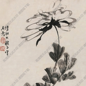 石濤國(guó)畫(huà) 花卉 (4) 高清大圖下載
