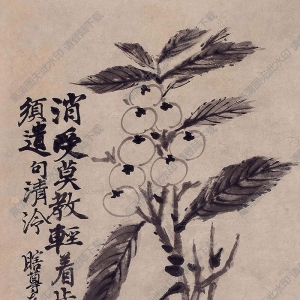 石濤國(guó)畫(huà) 琵琶 高清大圖下載