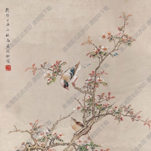 沈銓作品 花鳥(niǎo) (10) 高清大圖下載