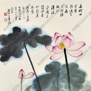 孫云生國(guó)畫 冷香和露 高清大圖下載