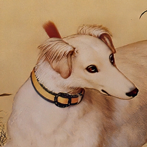 郎世寧_十駿犬圖01_晱星狼_高清名畫下載