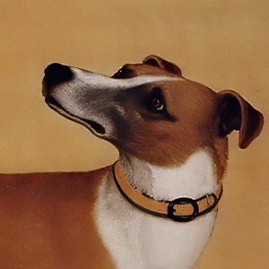 郎世寧_十駿犬圖07_茹黃豹_高清名畫下載