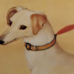 郎世寧_十駿犬圖08_霜花鷂_高清名畫下載
