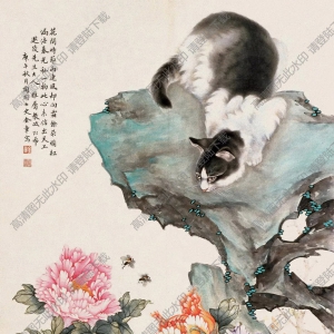 金章金陶陶國畫_貓和蜜蜂圖_高清大圖下載