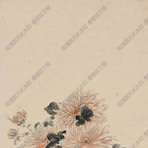 金章金陶陶國畫_牡丹菊花圖_高清大圖下載