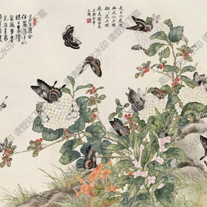 金陶陶國畫_瓊花蝴蝶_高清大圖下載